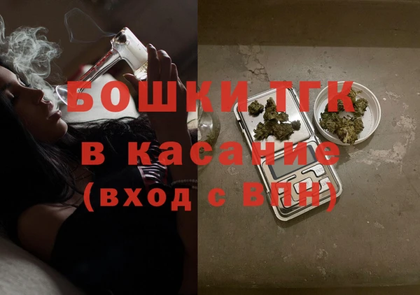 гашик Арсеньев