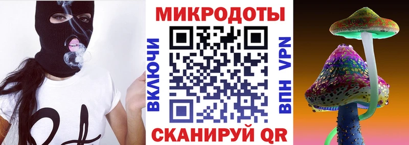 где продают   Тулун  Псилоцибиновые грибы Psilocybine cubensis 