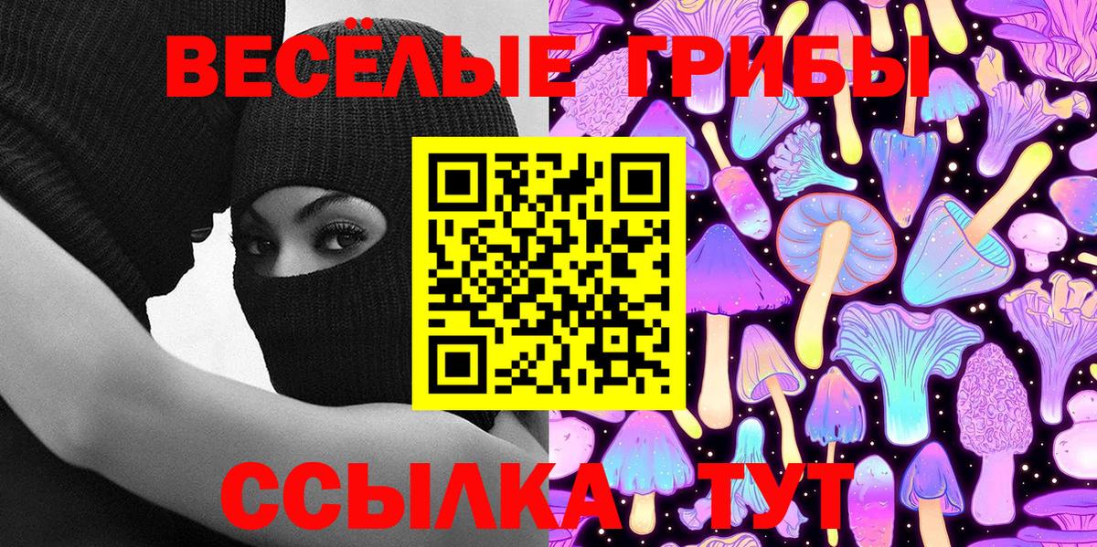 купить наркоту  Псилоцибиновые грибы Magic Shrooms  Вход с VPN  Тулун  Галлюциногенные грибы MAGIC MUSHROOMS 
